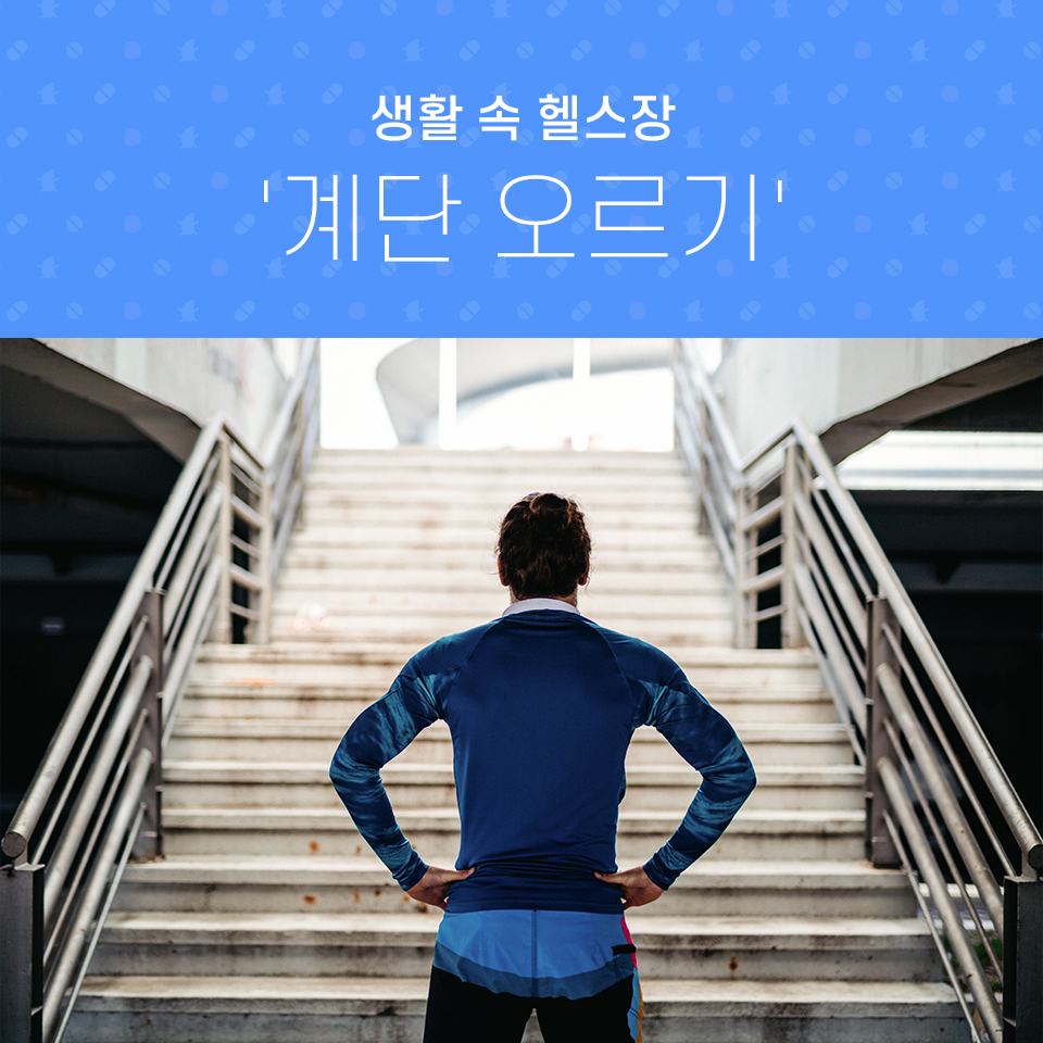 생활 속 헬스장 '계단 오르기' - 중앙일보헬스미디어